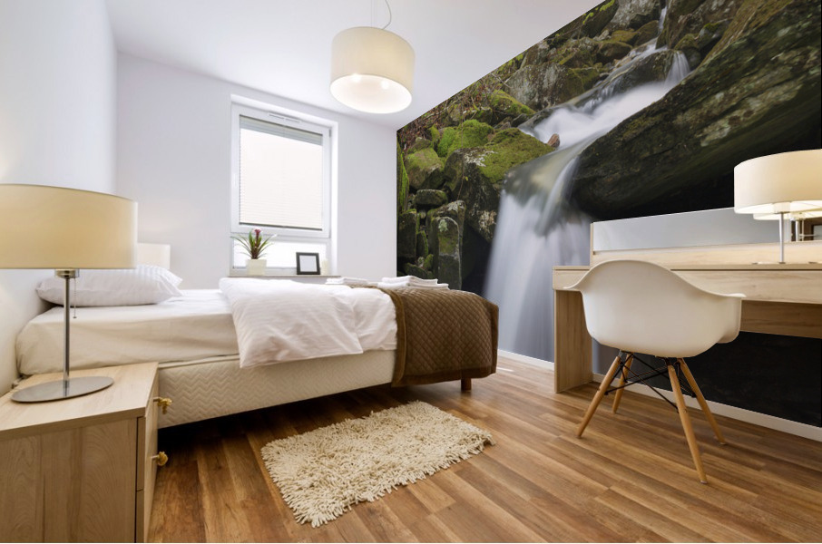 Stark Falls Brook - Kinsman Notch New Hampshire  Mural print