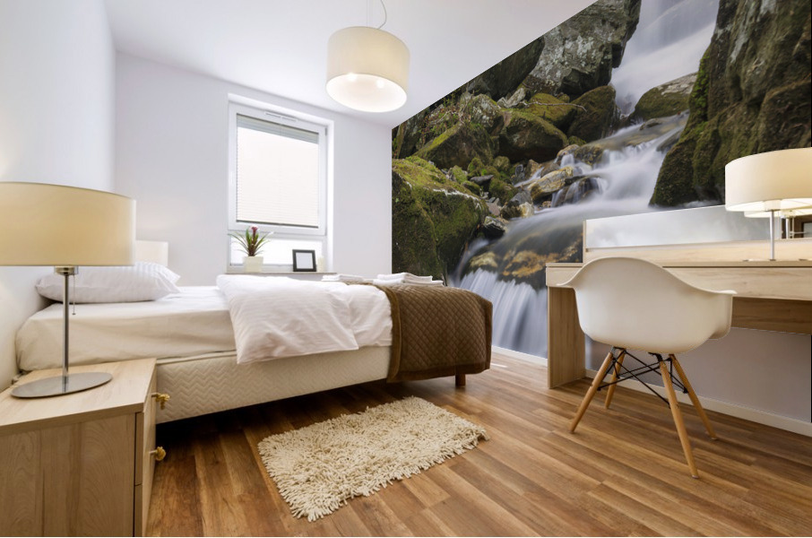 Stark Falls Brook - Kinsman Notch New Hampshire  Mural print