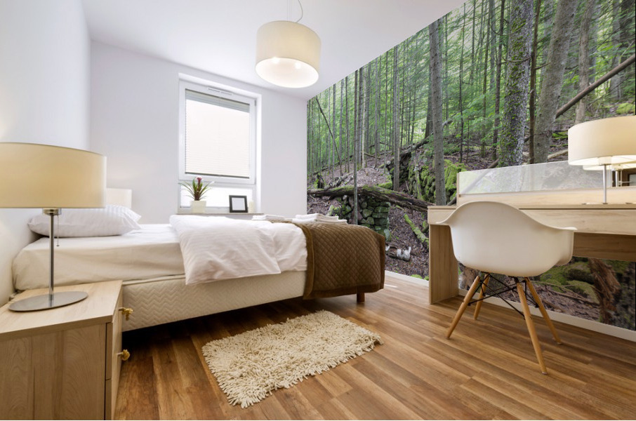 Breezy Point - Warren New Hampshire Mural print