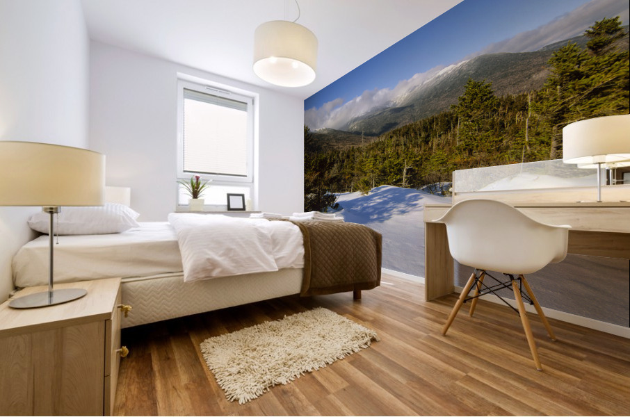 Lows Bald Spot - Mt Washington New Hampshire Mural print