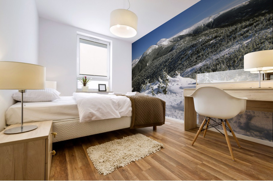 Mount Eisenhower - White Mountains New Hampshire Mural print