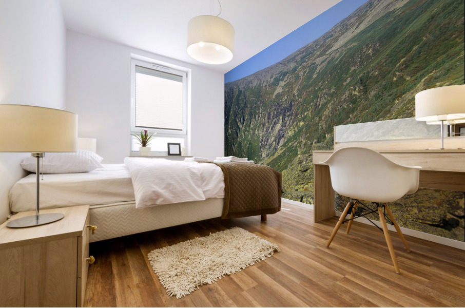 Tuckerman Ravine - Mount Washington New Hampshire  Mural print
