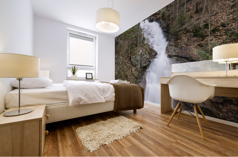 Liberty Gorge - Franconia Notch New Hampshire Mural print