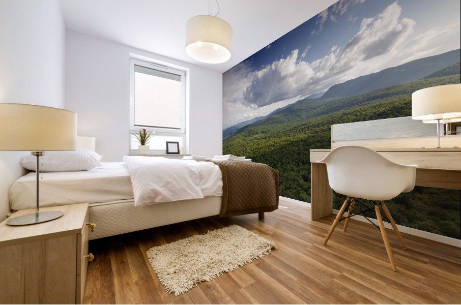 Mount Pemigewasset - Franconia Notch New Hampshire Mural print