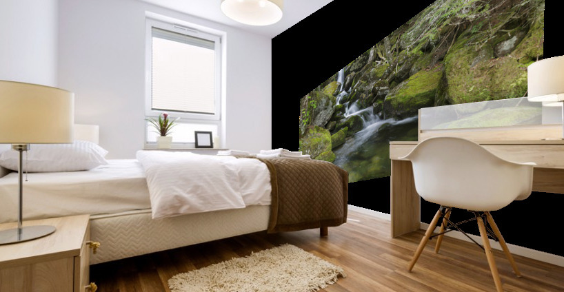 Cold Brook - Low and Burbanks Grant New Hampshire Mural print