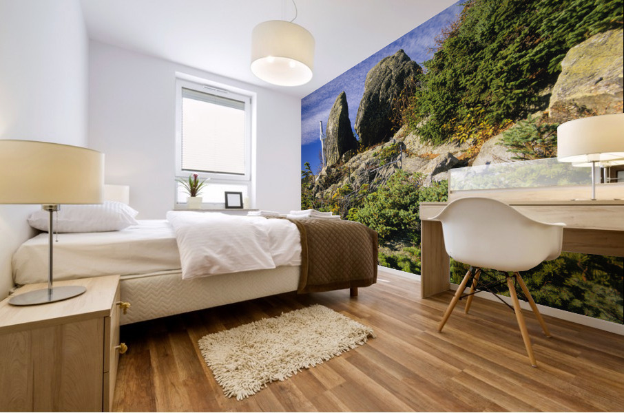 Boott Spur Trail - Mount Washington New Hampshire  Mural print