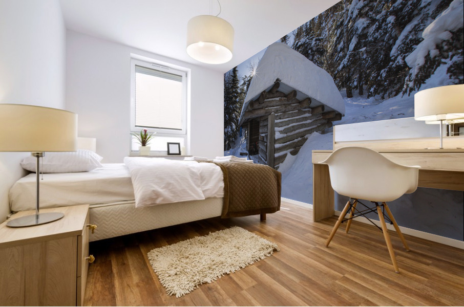 Beaver Brook Shelter - Appalachian Trail New Hampshire Mural print