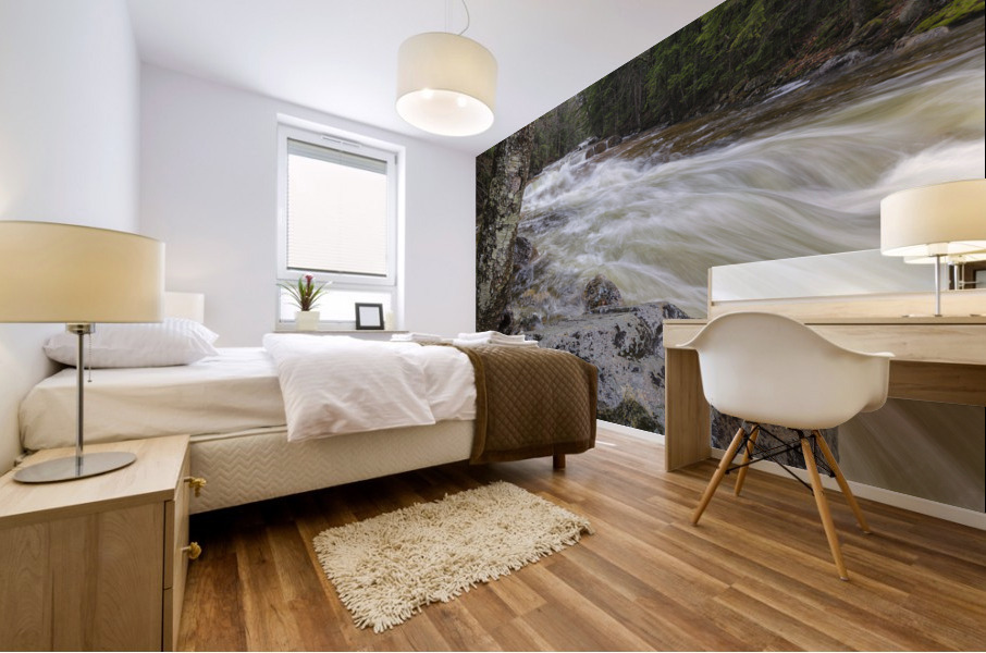 Pemigewasset River - Franconia Notch State Park New Hampshire Mural print