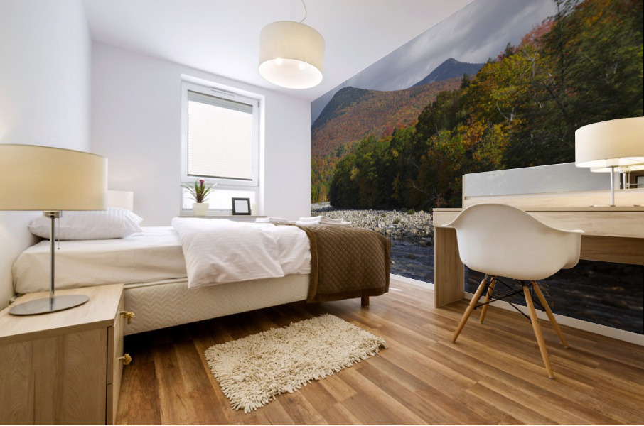 East Branch of the Pemigewasset River - Lincoln New Hampshire Mural print