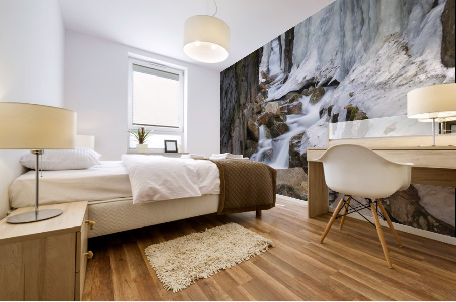 Flume Gorge - Franconia Notch State Park New Hampshire Mural print