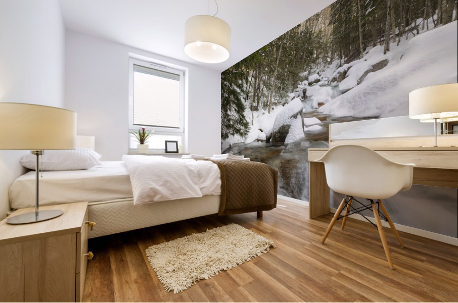 Flume Brook - Franconia Notch State Park New Hampshire Mural print