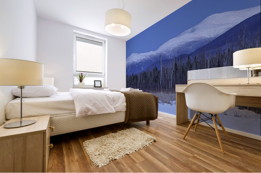 Pondicherry Wildlife Refuge - Jefferson New Hampshire Mural print