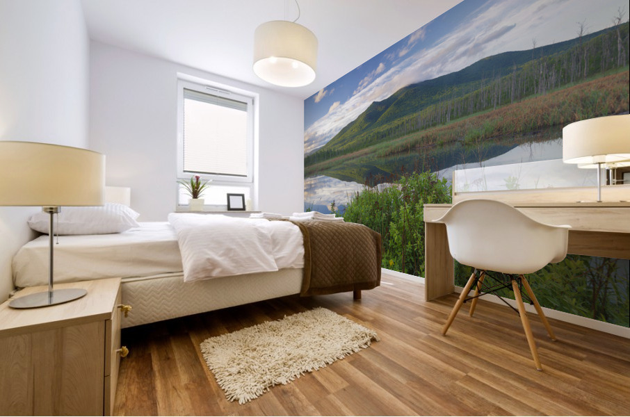 Cherry Mountain - Moorhen Marsh Pondicherry Wildlife Refuge Mural print