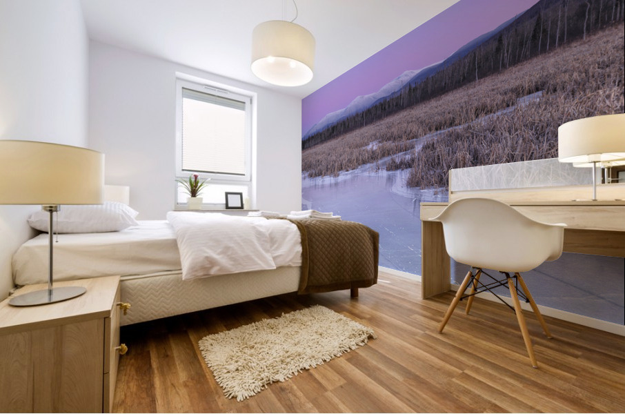 Presidential Range - Pondicherry Wildlife Refuge White Mountains Mural print