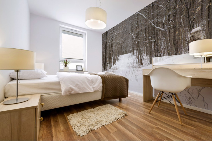 Lafayette Ski Trails - Franconia New Hampshire Mural print