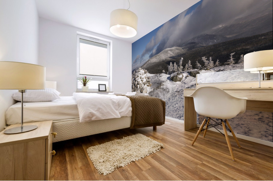 Mount Jackson - White Mountains New Hampshire Mural print