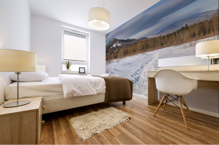 Downes - Oliverian Brook Ski Trail - White Mountains New Hampshire Mural print