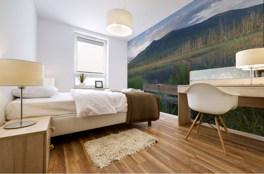 Cherry Mountain - Moorhen Marsh Pondicherry Wildlife Refuge Mural print