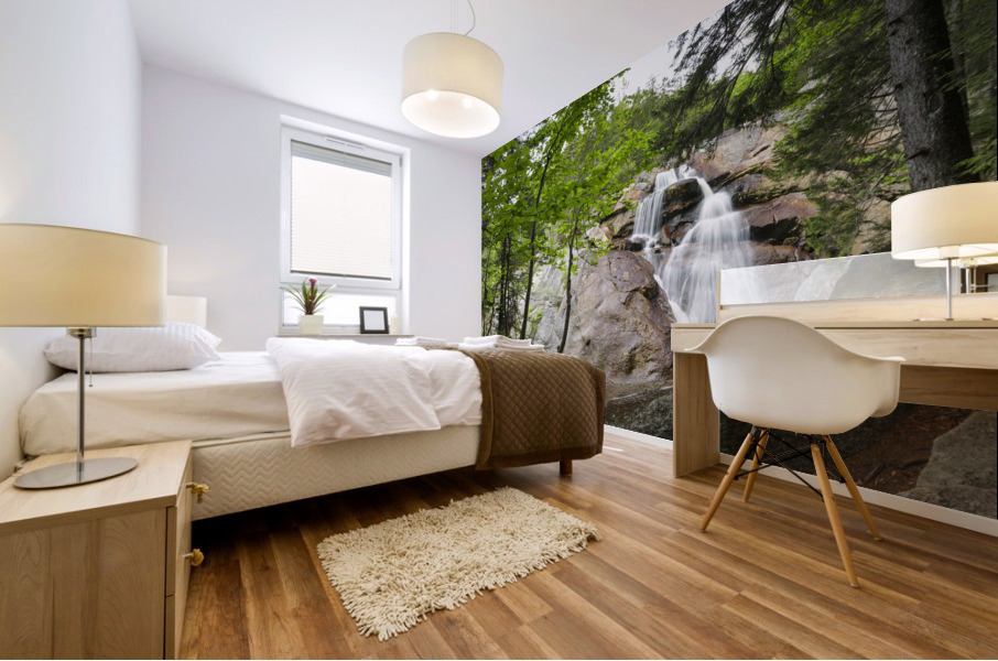 Harvard Brook - Lincoln New Hampshire Mural print