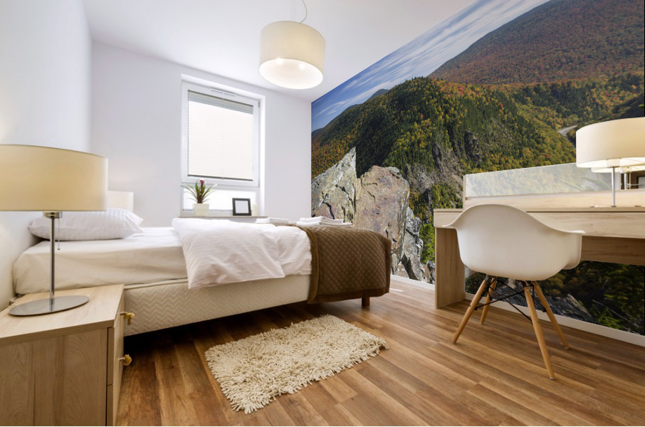 Dixville Notch State Park - Dixville New Hampshire Mural print