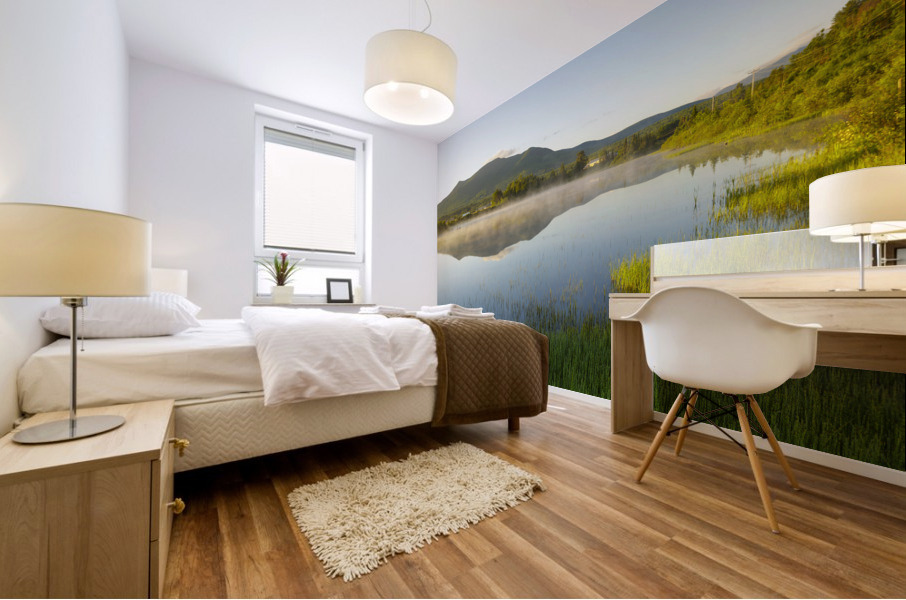 Airport Marsh - Whitefield New Hampshire Mural print
