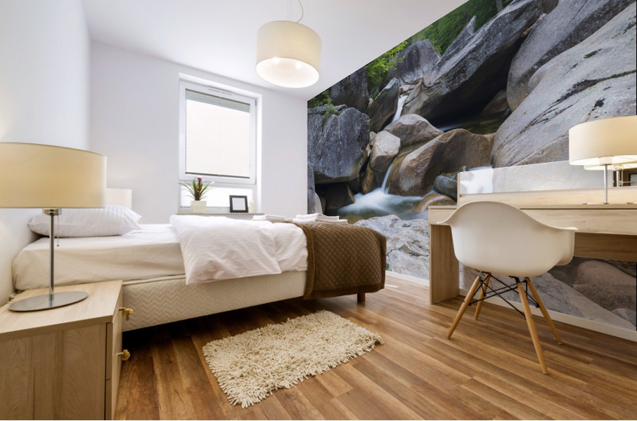 Pemigewasset River - Franconia Notch State Park New Hampshire Mural print
