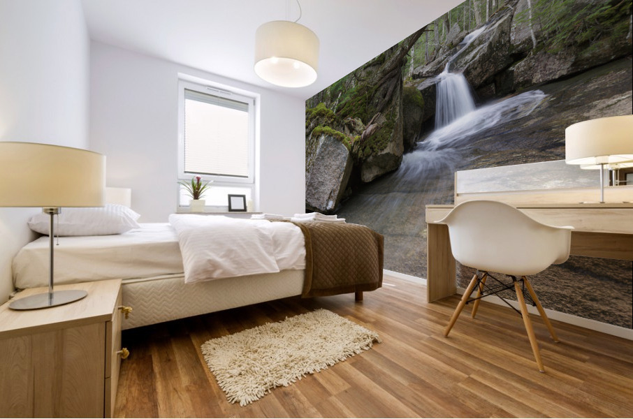 Whitehouse Brook - Lincoln New Hampshire Mural print