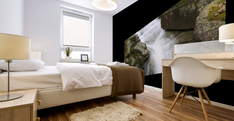 Franconia Notch - White Mountains New Hampshire Mural print