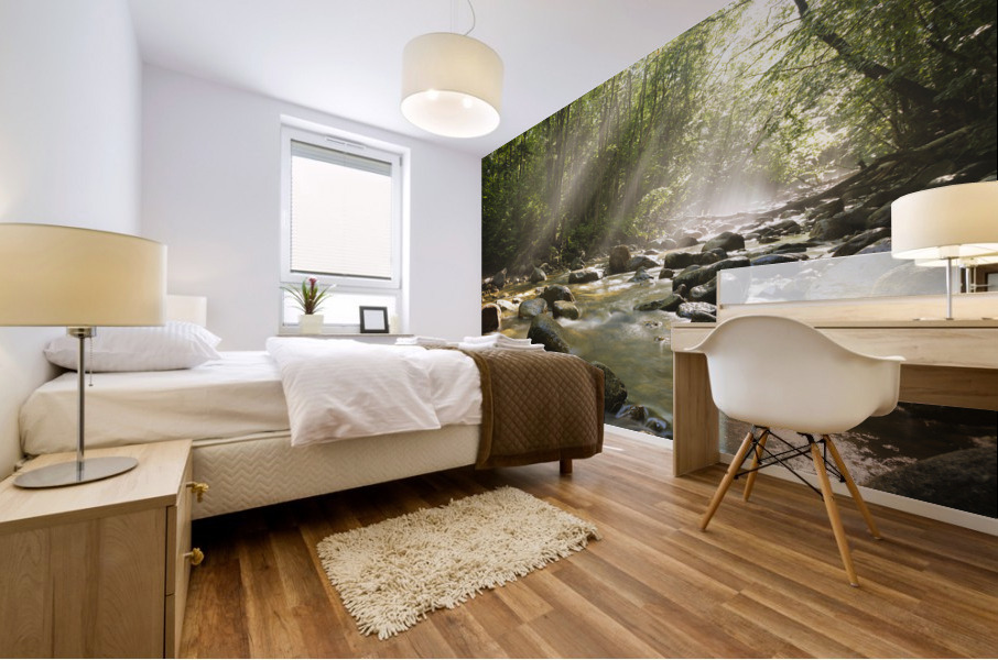 Cedar Brook - Pemigewasset Wilderness New Hampshire Mural print