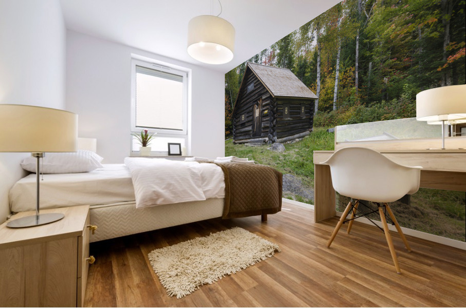 Fabyan Guard Station - Carroll New Hampshire Mural print