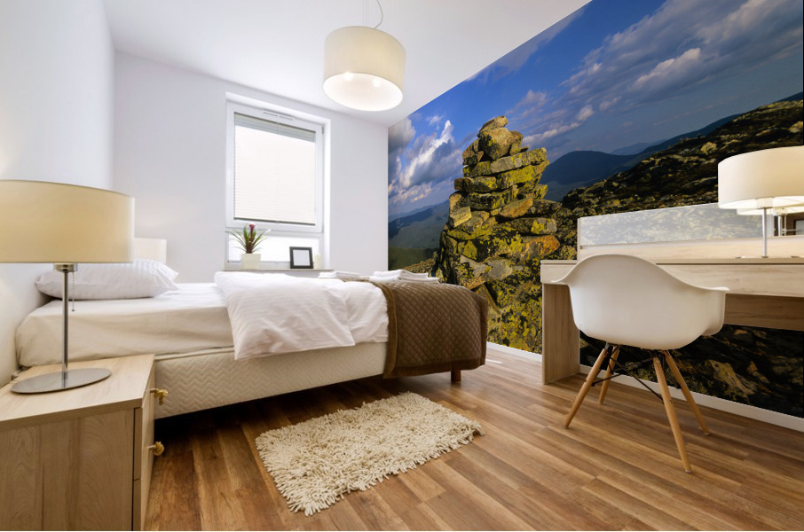 Pemigewasset Wilderness - White Mountains New Hampshire Mural print