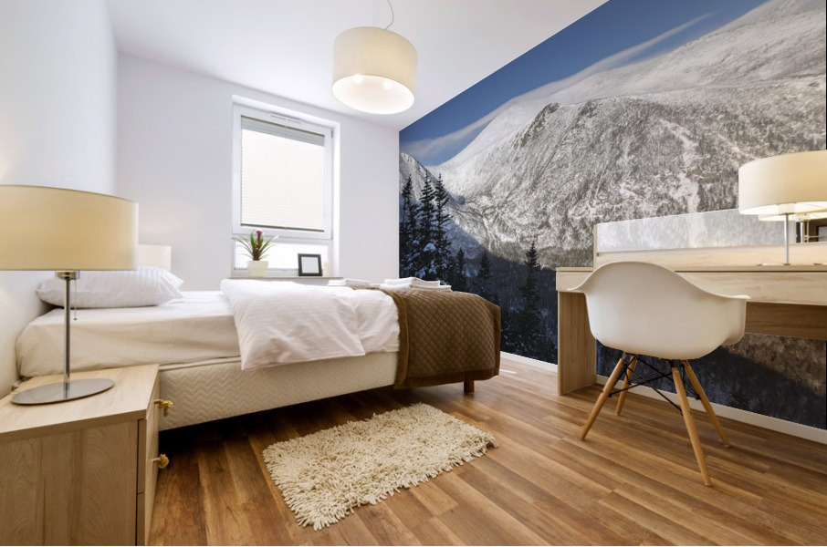 Boott Spur Link Trail - Mt Washington Tuckerman Ravine Mural print