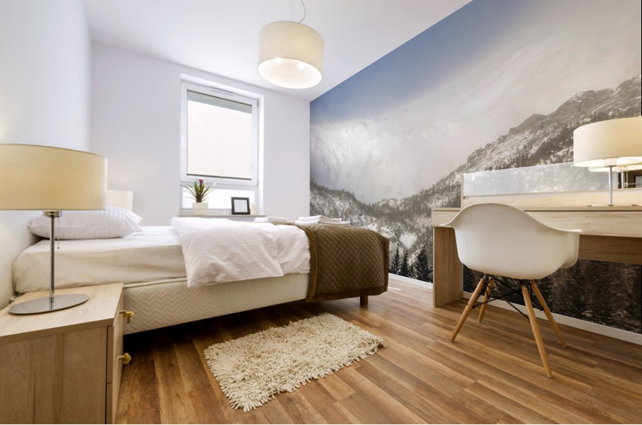 Tuckerman Ravine - Mount Washington White Mountains Mural print