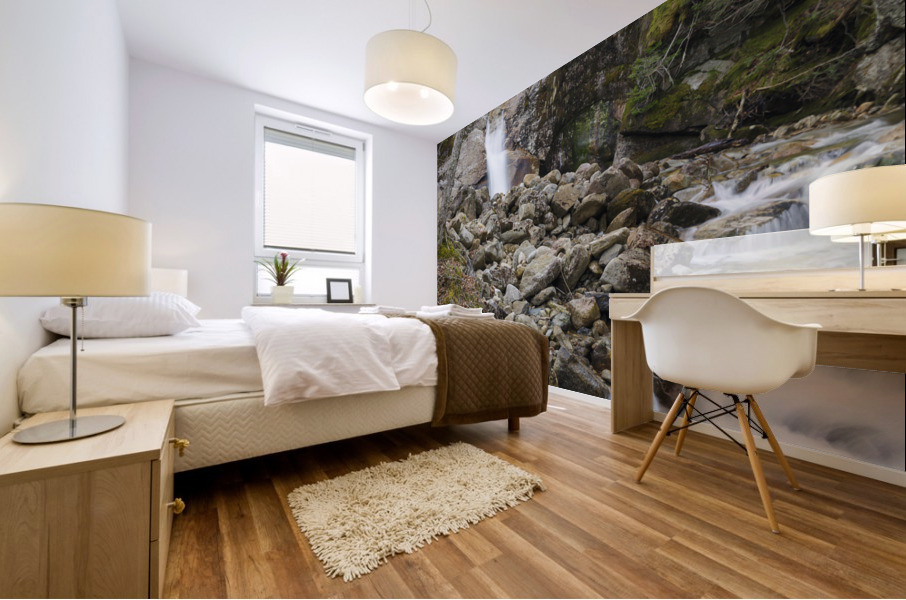 Lafayette Brook Falls - Franconia New Hampshire Mural print