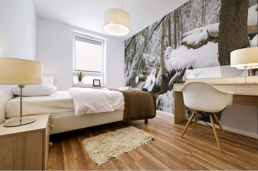 Pemigewasset River - Franconia Notch State Park New Hampshire Mural print