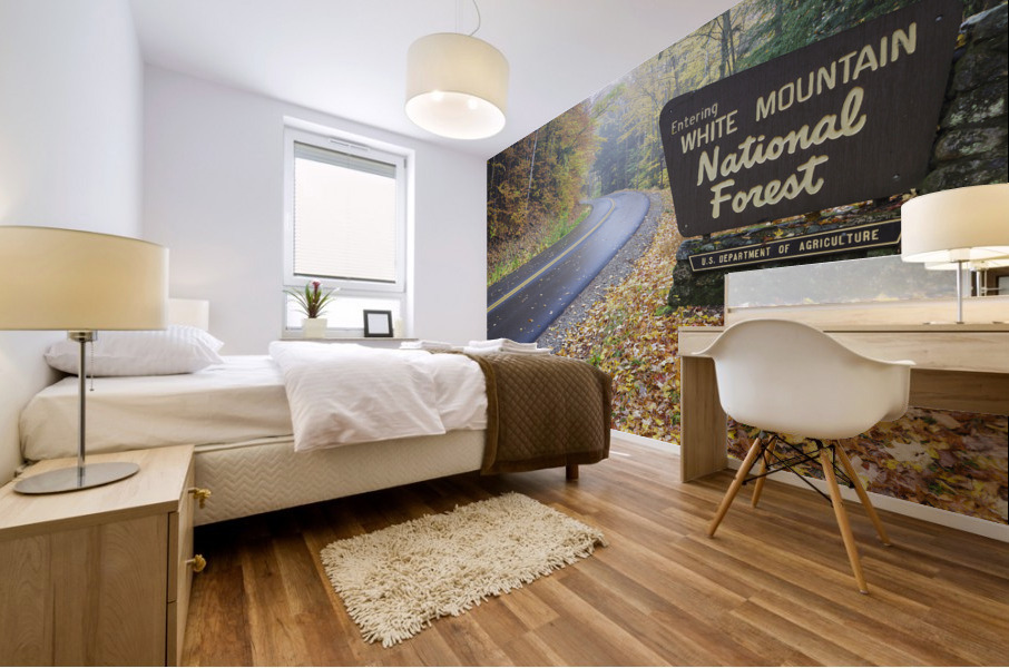 Tripoli Road - Thornton New Hampshire Mural print