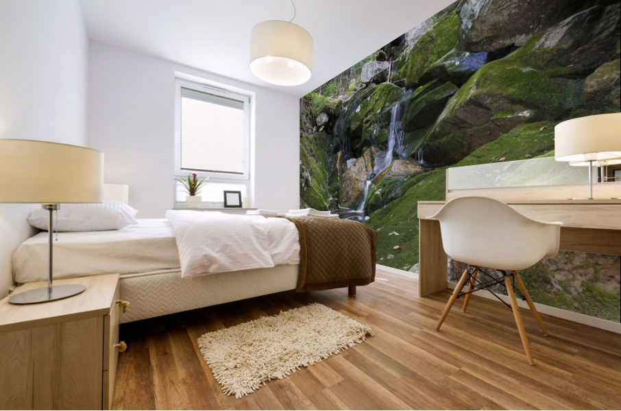 Elephant Head Brook - Carroll New Hampshire  Mural print