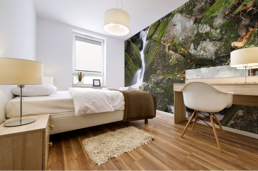 Kinsman Notch - North Woodstock New Hampshire Mural print