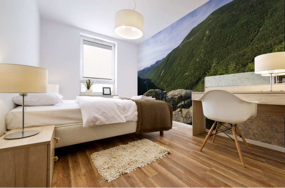 Crawford Notch - White Mountains New Hampshire  Mural print