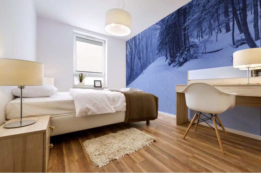 Franconia Notch - White Mountains New Hampshire Mural print