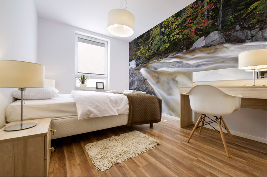 Swift River - White Mountains New Hampshire Mural print