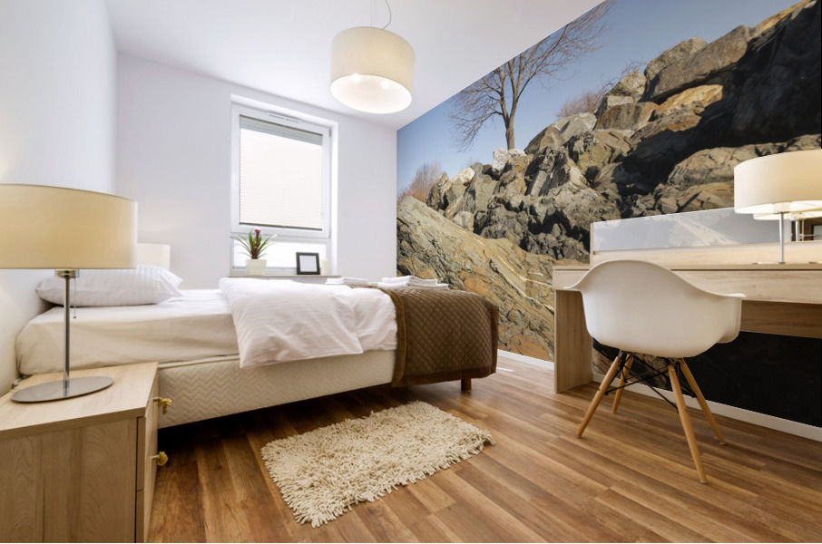 Great Island Common - New Castle New Hampshire Mural print