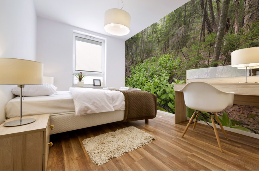 Thoreau Falls Trail - Pemigewasset Wilderness New Hampshire Mural print