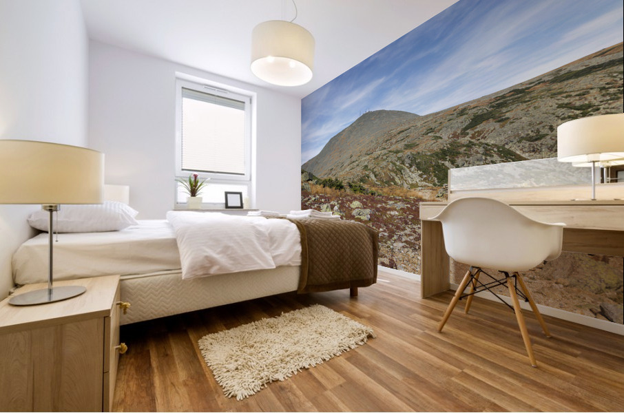 Crawford Path - Mt Washington New Hampshire Mural print