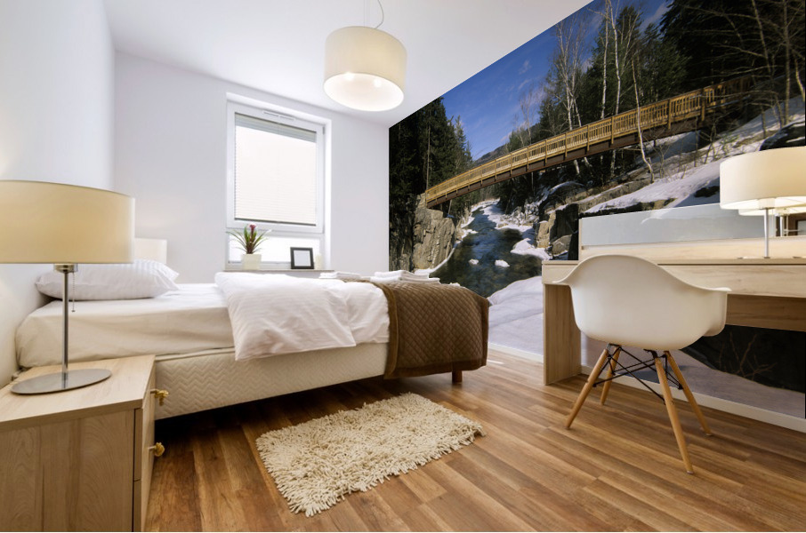 The Rocky Gorge Viewing Area Mural print