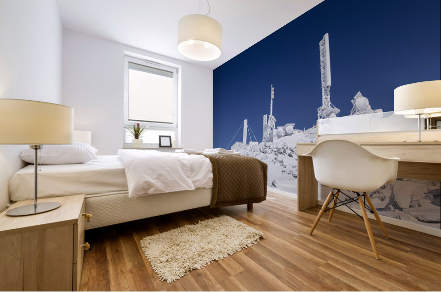 Mount Washington - Sargents Purchase New Hampshire  Mural print