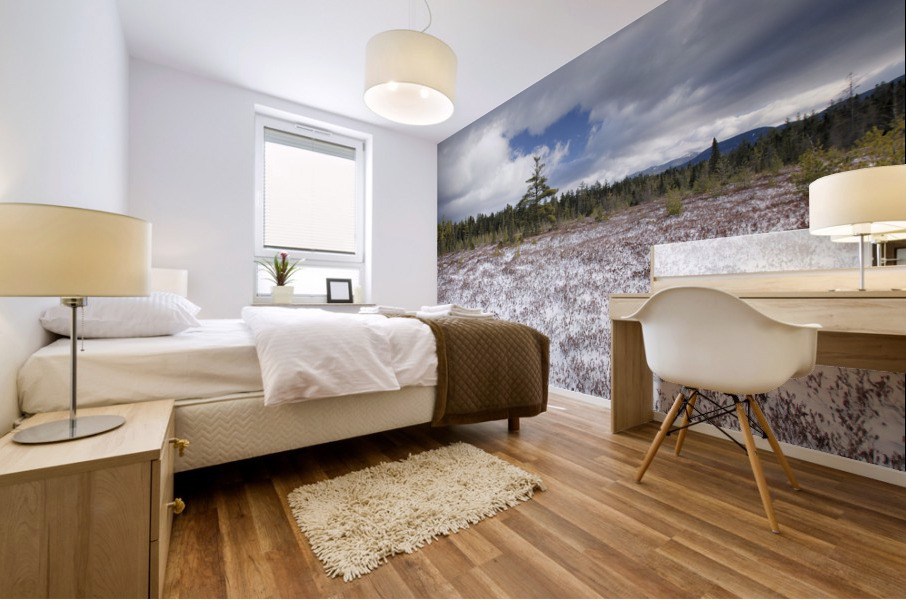 Church Pond - White Mountain National Forest  Mural print