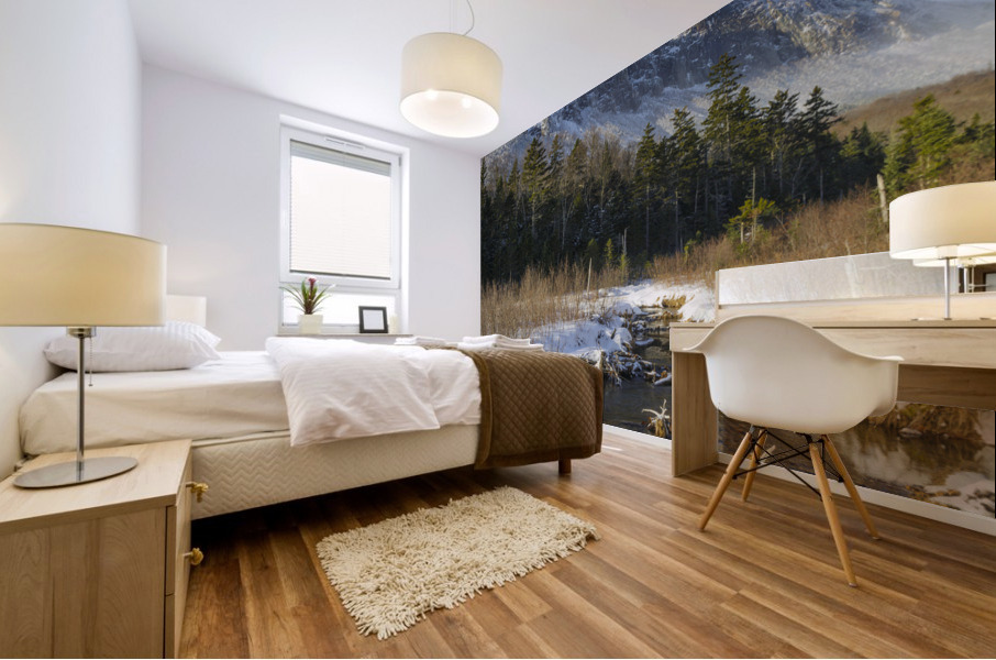 Pemi Trail - Franconia Notch New Hampshire Mural print
