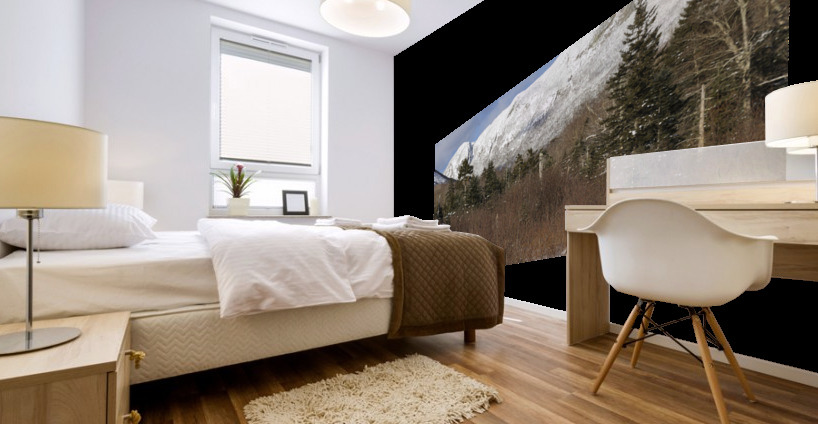 Pemi Trail - Franconia New Hampshire Mural print