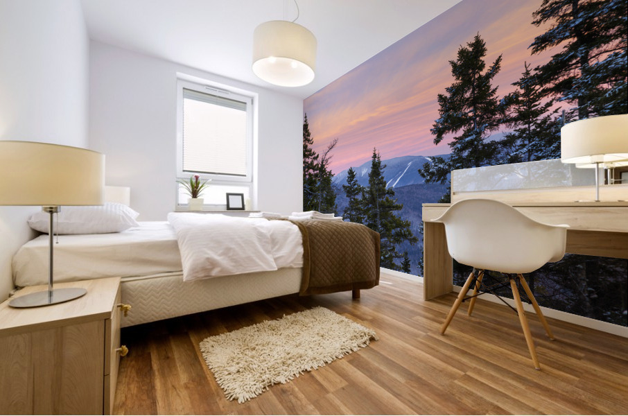 Mount Pemigewasset - Franconia Notch New Hampshire Mural print